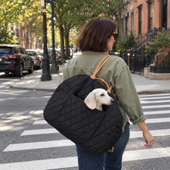 Woman carrying the black PAWTIER carrier with a dog on a city street