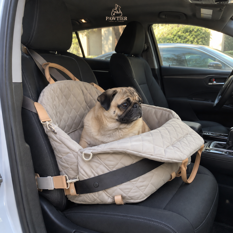 PAWTIER carrier strapped to a car seat with a dog inside