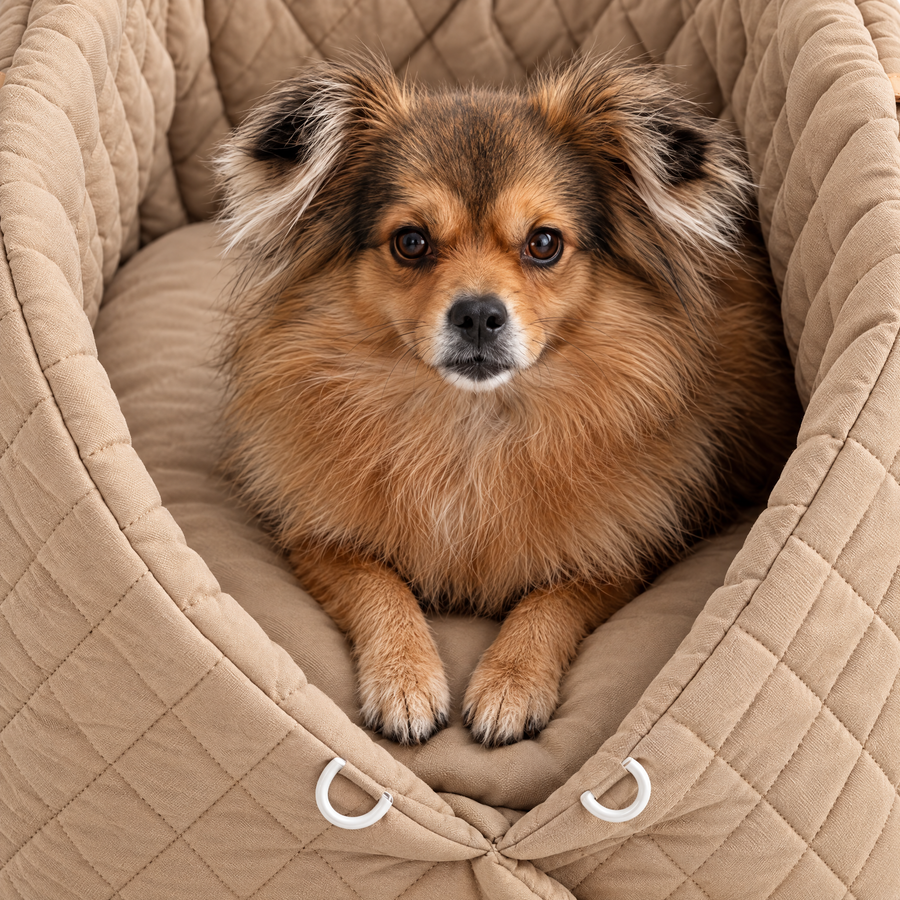 Beige PAWTIER carrier with the front raised and a small dog looking out